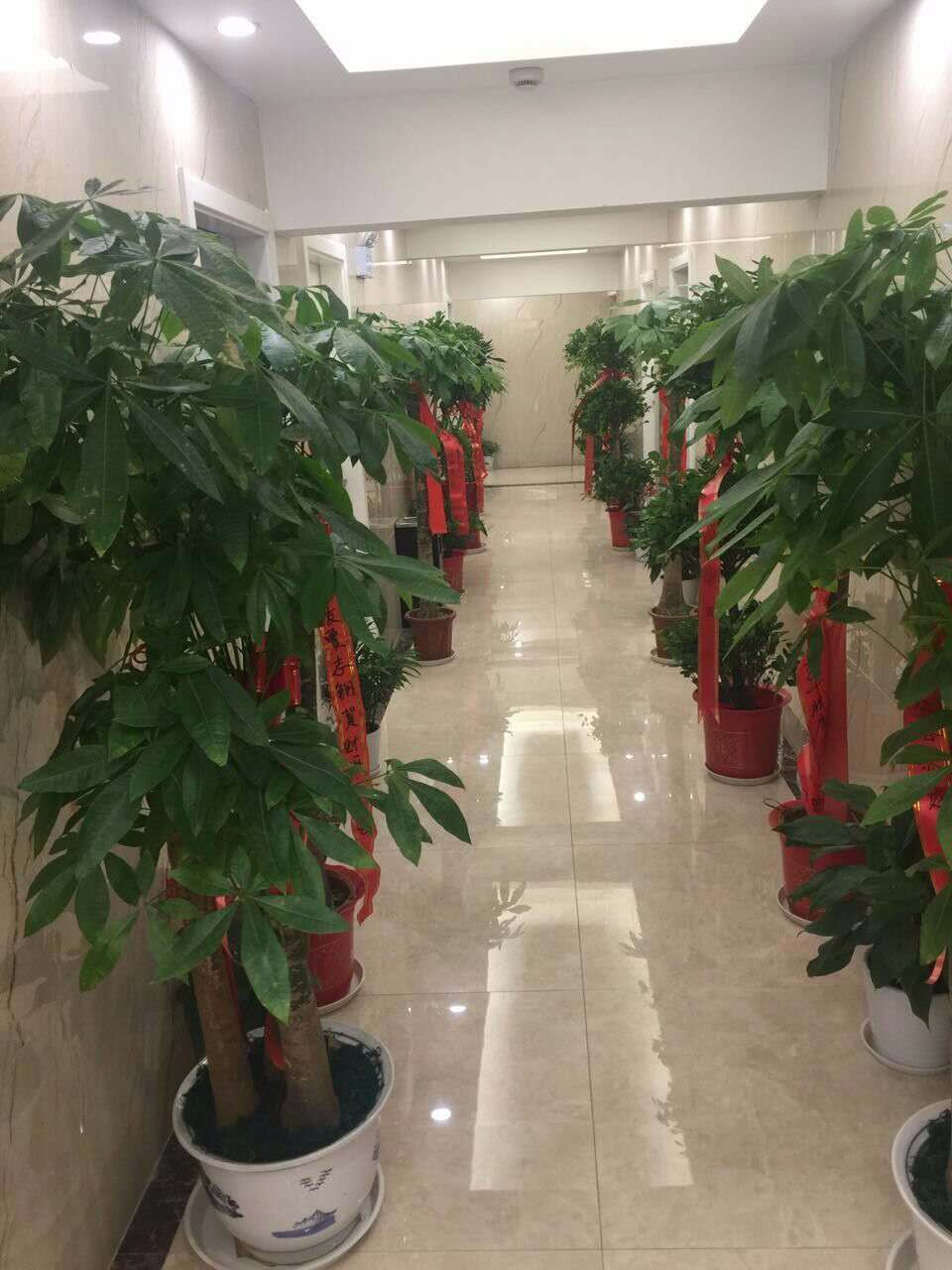 武汉磨山港湾足浴城